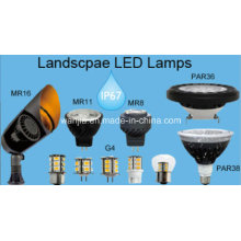 MR16 LED Bulb for Landscape Lighting